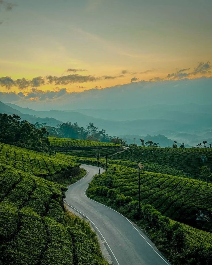 Coimbatore to Munnar Cab