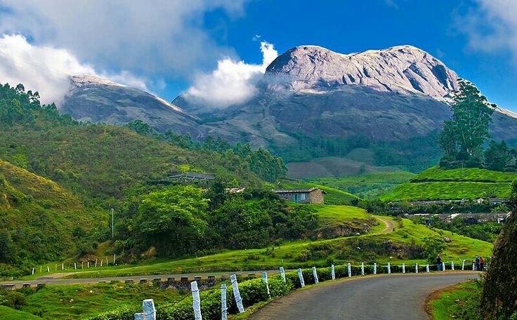 Munnar Hill Paradise