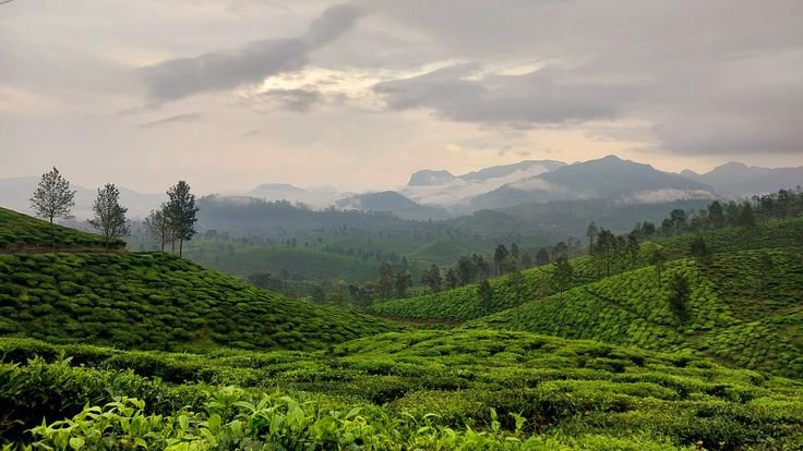 Valparai Hill Escape